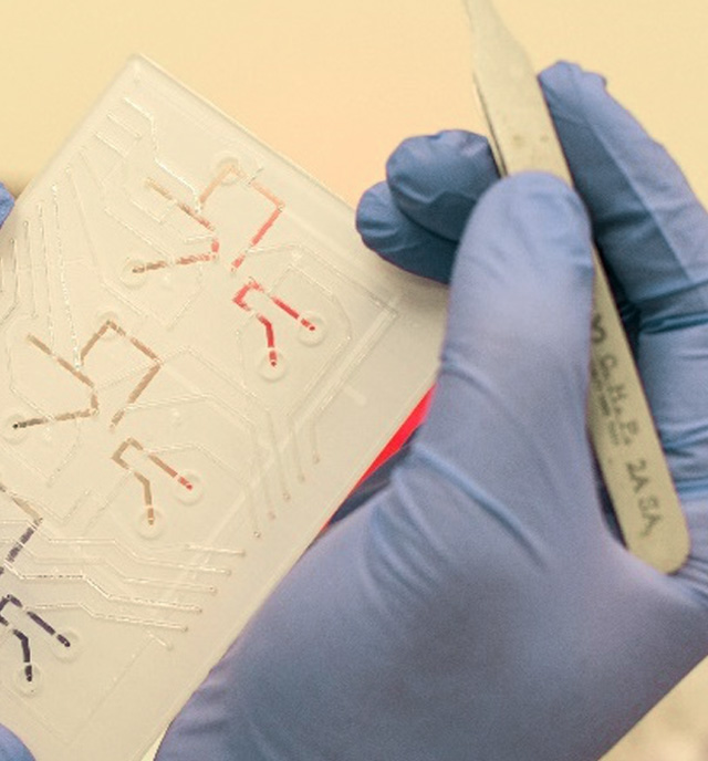 Integrated Microfluidic Card